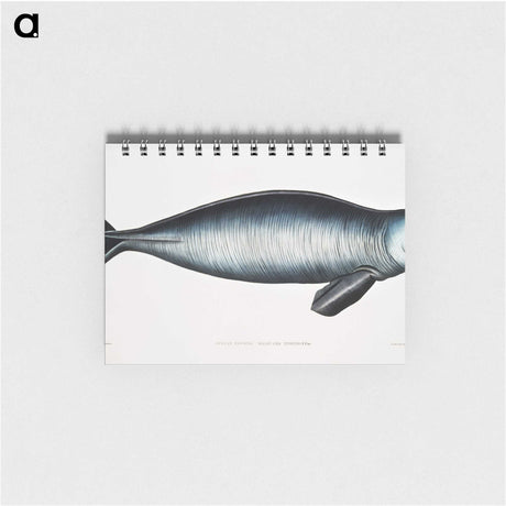 1-16_Indian-Zoology_memo