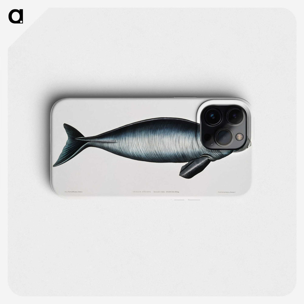 1-16_Indian-Zoology_phone