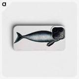 1-16_Indian-Zoology_phone