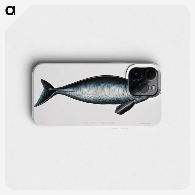 1-16_Indian-Zoology_phone