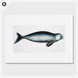 1-16_Indian-Zoology_picture