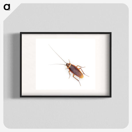 1-16_Insects-Unlocked-Project_blk