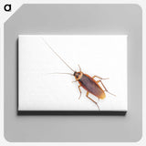 1-16_Insects-Unlocked-Project_canvas