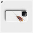 1-16_Insects-Unlocked-Project_phone