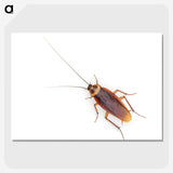1-16_Insects-Unlocked-Project_picture-crop