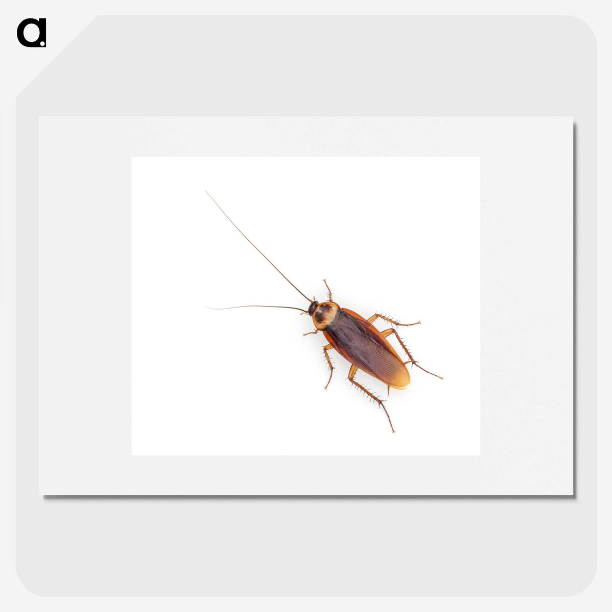 1-16_Insects-Unlocked-Project_picture
