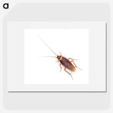 1-16_Insects-Unlocked-Project_picture
