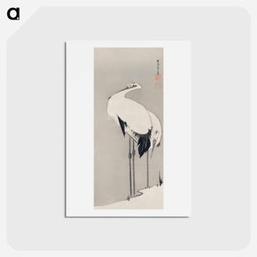 アートポストカード-Two Cranes
 - 伊藤若冲 Postcard.