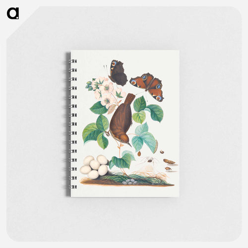 Anna Blackburne's Natural History
 - ジェームズ ボルトン Memo.