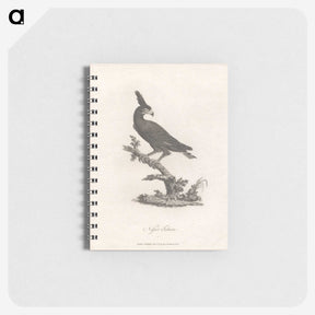 1-16_James-Heath_memo
