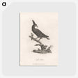 1-16_James-Heath_postcard