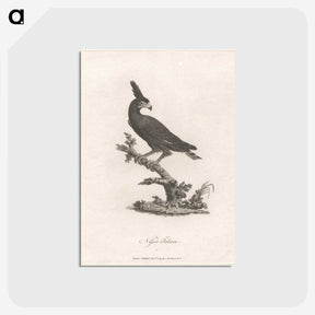 1-16_James-Heath_postcard