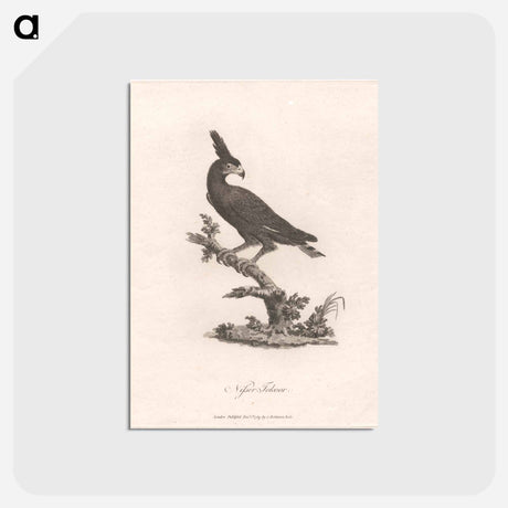 アートポストカード-Nisser Tokoor
 - ジェームス ヒース Postcard.