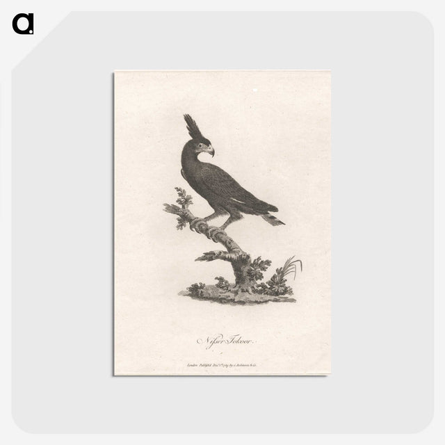 1-16_James-Heath_postcard