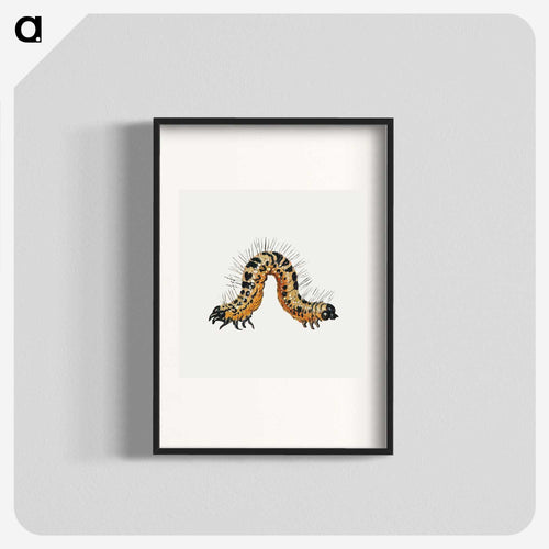 Caterpillar from Insects and Fruits
 - ヤン ファン ケッセル Poster.
