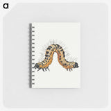 1-16_Jan-Van-Kessel_memo