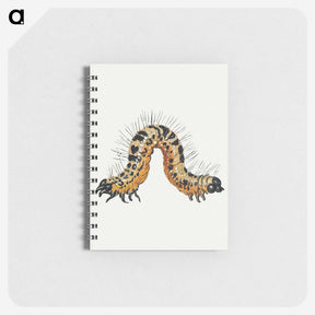 1-16_Jan-Van-Kessel_memo