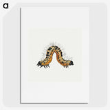 1-16_Jan-Van-Kessel_picture