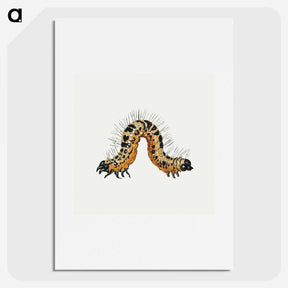 1-16_Jan-Van-Kessel_picture
