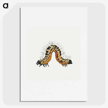 1-16_Jan-Van-Kessel_picture