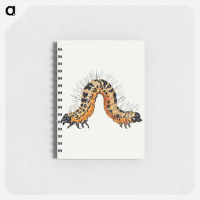 アートメモ帳-Caterpillar from Insects and Fruits
 - ヤン ファン ケッセル Memo.