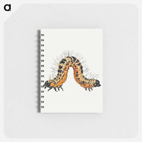 アートメモ帳-Caterpillar from Insects and Fruits
 - ヤン ファン ケッセル Memo.