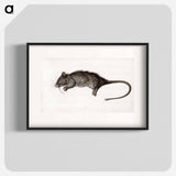 Dead rat - ジャン ベルナール Poster.