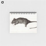 1-16_Jean-Bernard_memo