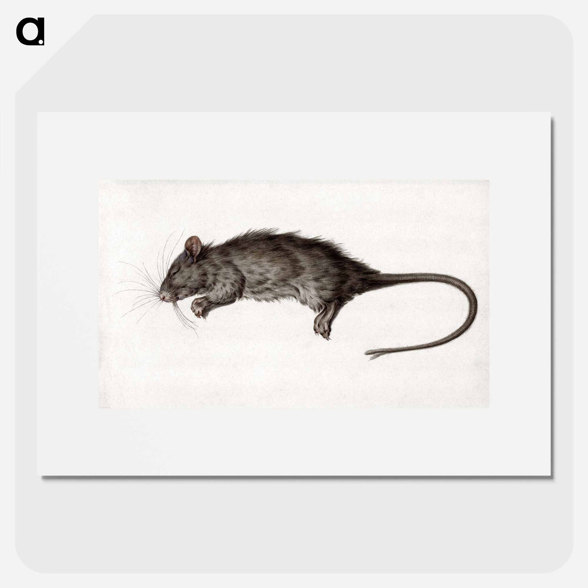 Dead rat - ジャン ベルナール Poster.