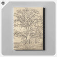 アートパネル-A Great Oak Tree
 - ジョン コンスタブル Canvas.