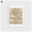 アートポストカード-A Great Oak Tree
 - ジョン コンスタブル Postcard.