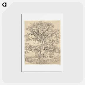 アートポストカード-A Great Oak Tree
 - ジョン コンスタブル Postcard.