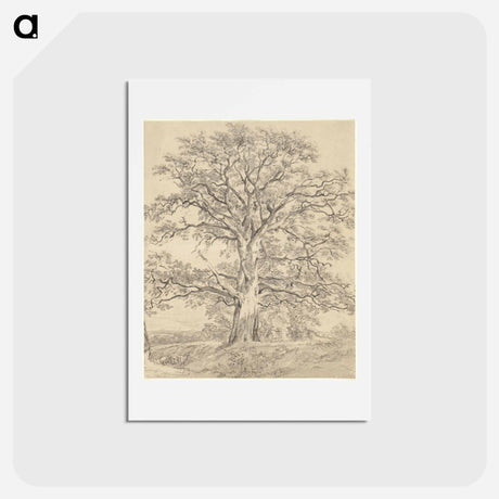 アートポストカード-A Great Oak Tree
 - ジョン コンスタブル Postcard.