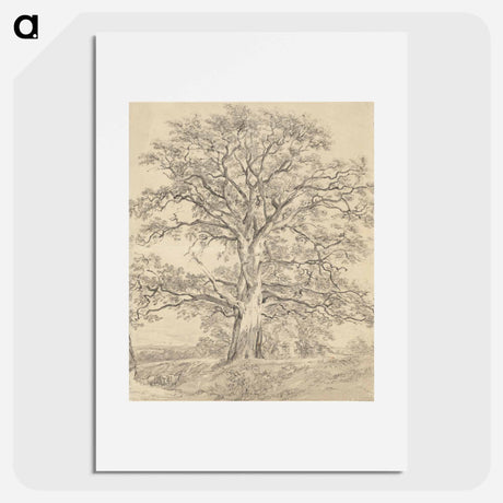 アートポスター-A Great Oak Tree
 - ジョン コンスタブル Poster.