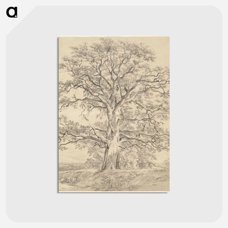 アートポストカード-A Great Oak Tree
 - ジョン コンスタブル Postcard.