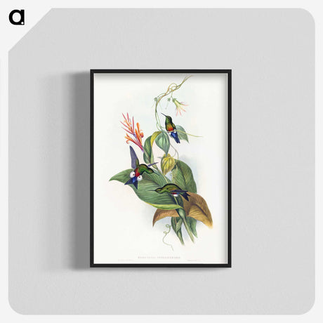 1-16_John-Gould_blk-crop