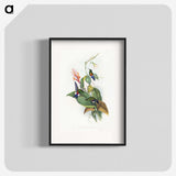 1-16_John-Gould_blk
