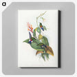 1-16_John-Gould_canvas