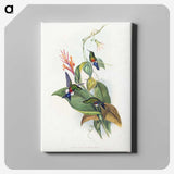 1-16_John-Gould_canvas