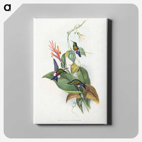 1-16_John-Gould_canvas