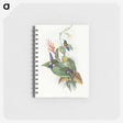 1-16_John-Gould_memo
