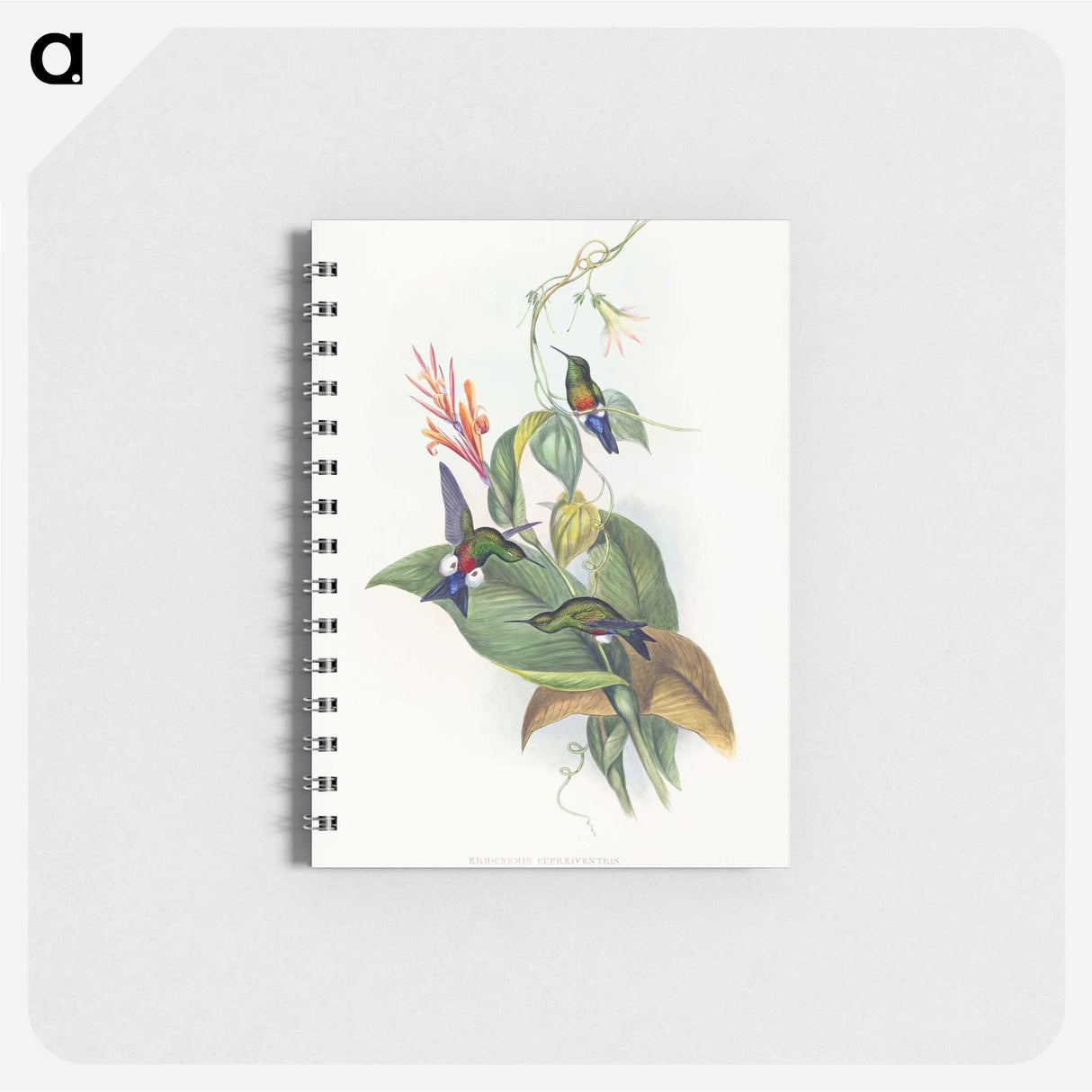 1-16_John-Gould_memo