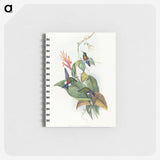1-16_John-Gould_memo