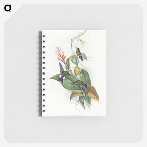 1-16_John-Gould_memo