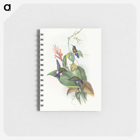 1-16_John-Gould_memo