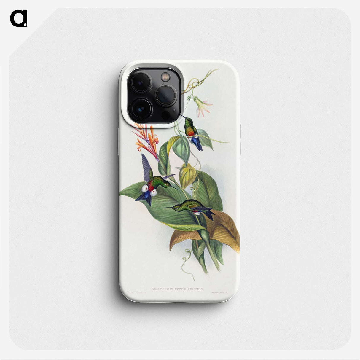 1-16_John-Gould_phone