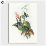 1-16_John-Gould_picture-crop