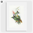 1-16_John-Gould_picture