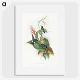 1-16_John-Gould_picture