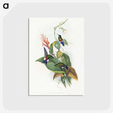1-16_John-Gould_postcard